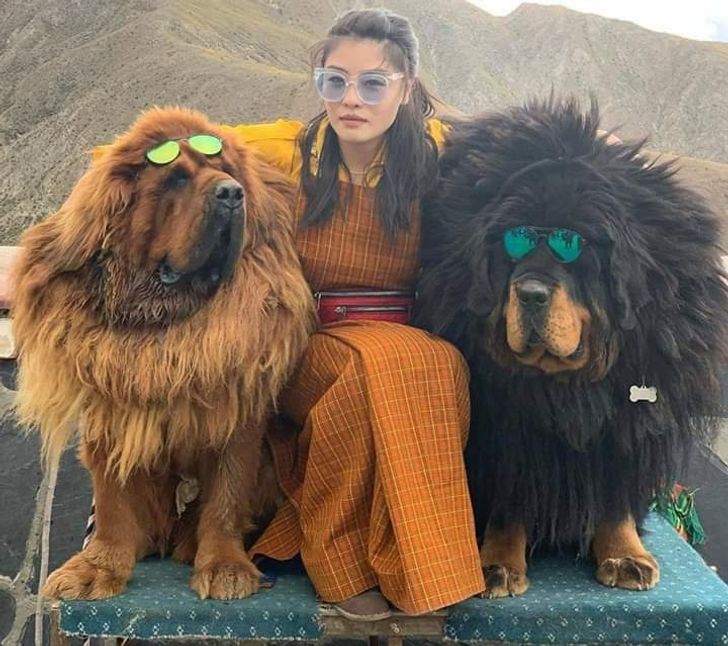 7e71bc54968420007823e86550