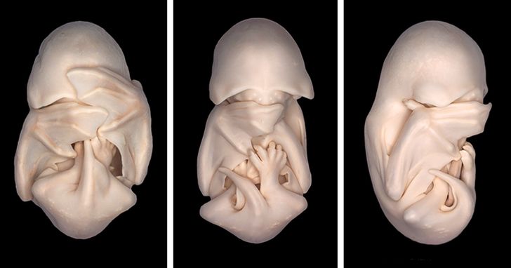 7e71ec5ba4a36f6d4b6aa1866a