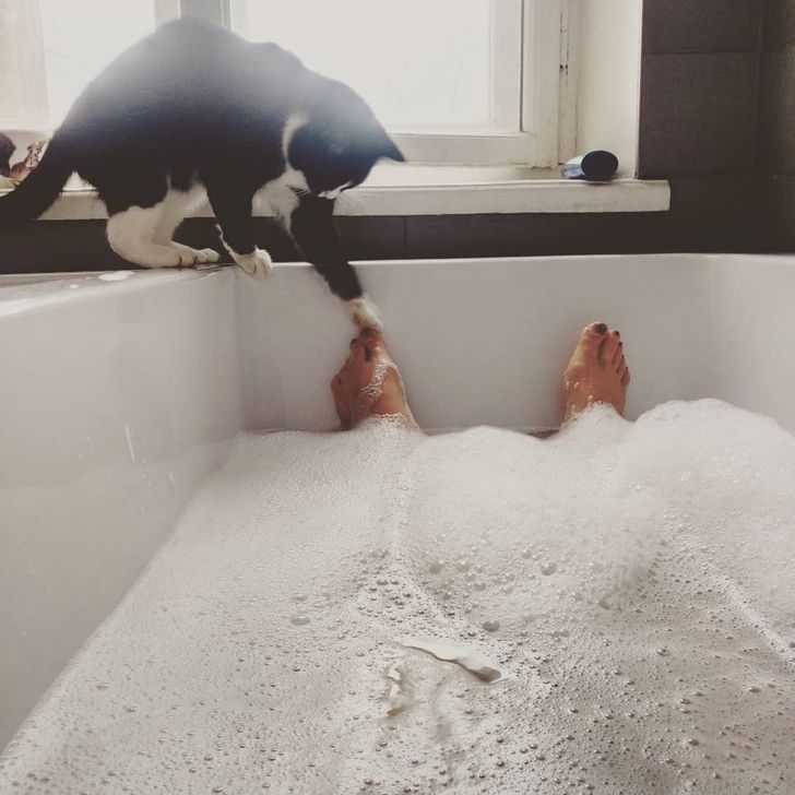 7e73a35c9d95f26a75a9a9e7b5