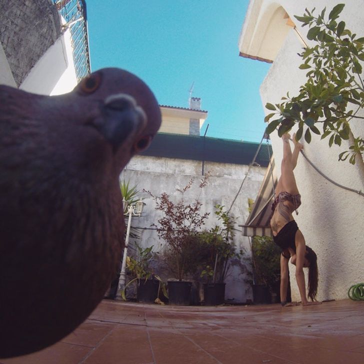 7e7bd859dba245586ef2faf6d8