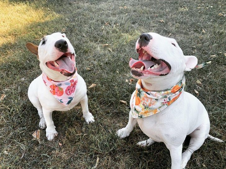 7e7cc75a1d9b8ec319ffc8822e