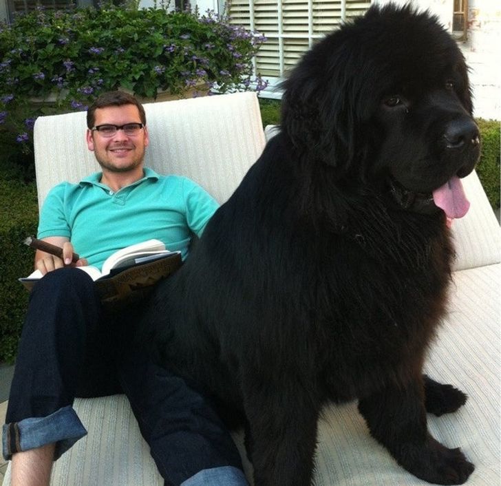 7e7dee5a288ccd89717bdbf4dc