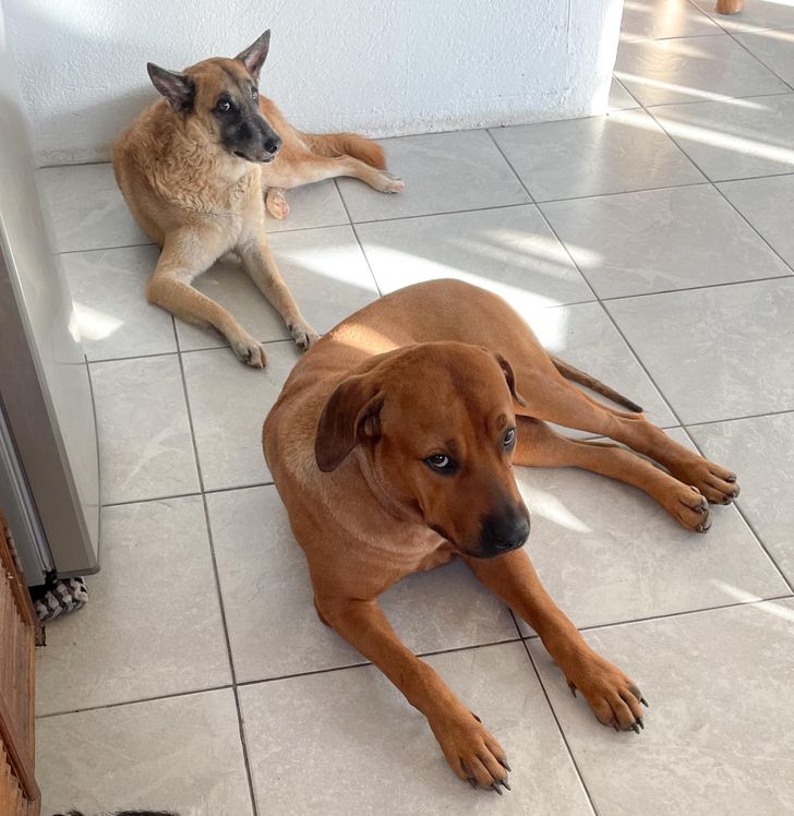 7e83105dae97bbd19961a095ba