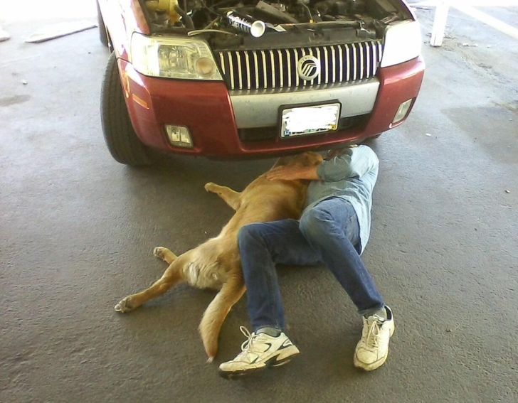 7e888f5cbaab5b429cdfe112f6