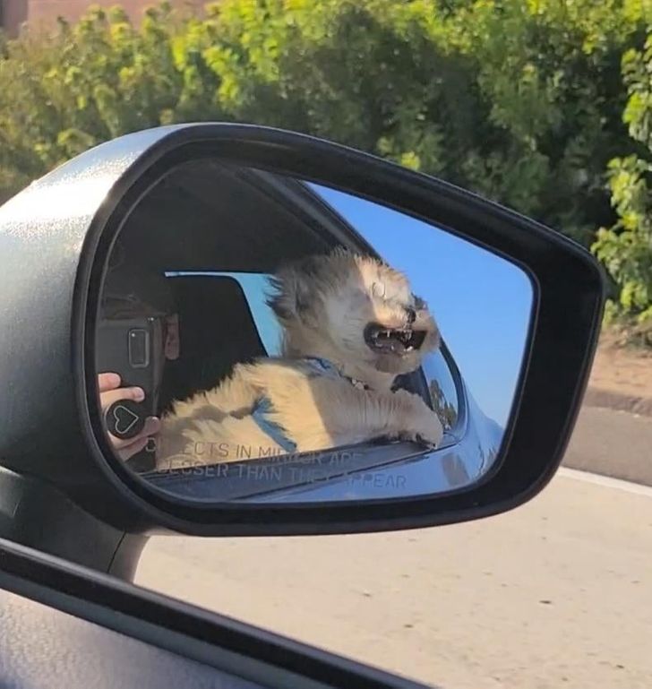 7e93365374a0a8d1b0727c9ab2