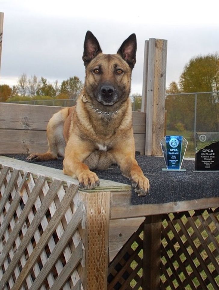 7e94d15d96aca32bb69436daa7