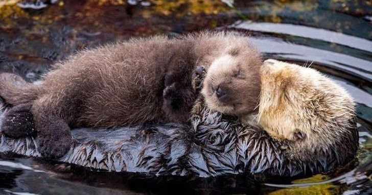 7ea43f57eaaea2ac3d54b90490