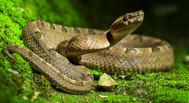 7ea7005381b95797fbb387f236