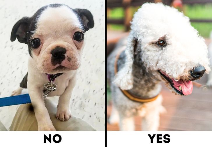 7eaa5d57b3925759db8303f386