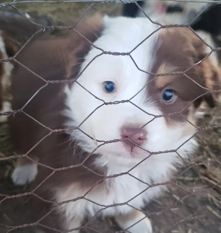 7eb1ac5703bf9aebc93dbe55b9