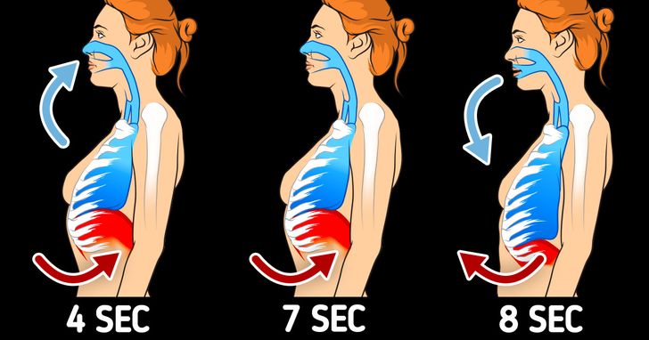 7eb5e955a9a76345adc78e5690