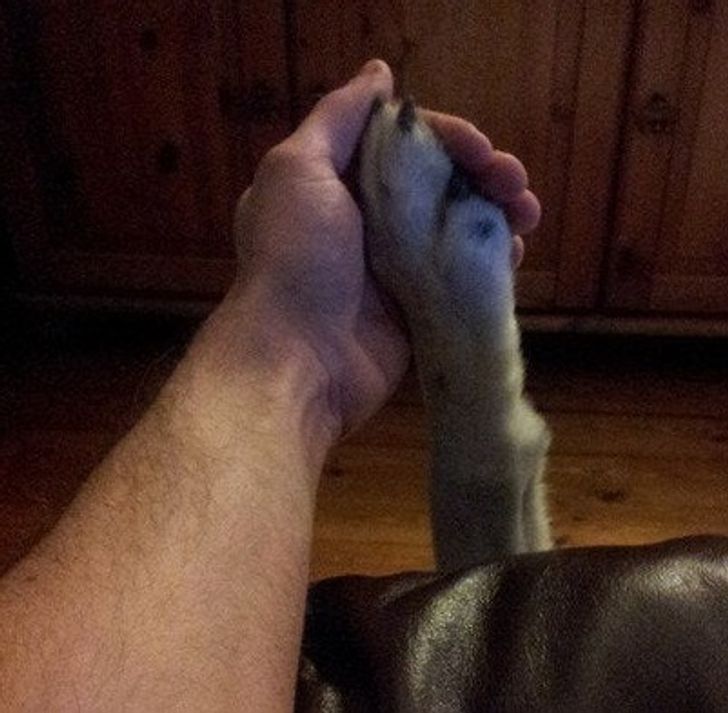 7eba8a565ab40e1faab7673cd7