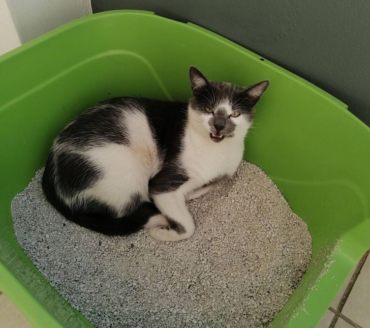 7ebe30557aba98afa573a90f41