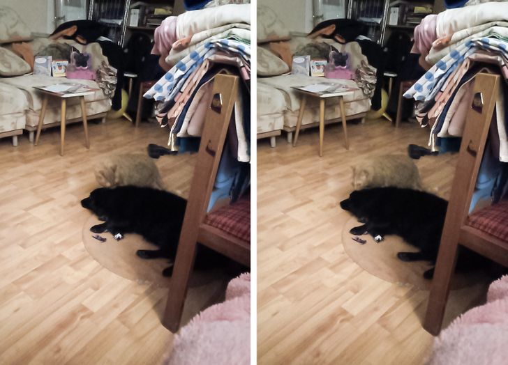 7eca1d5bdcac3db9c7a0eb7e17