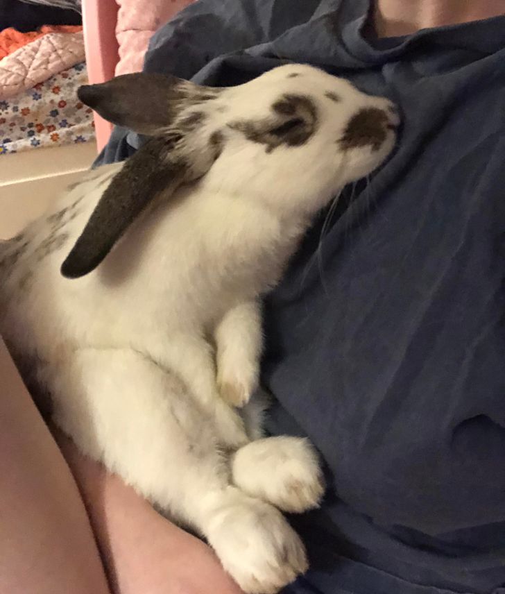 7eccd252118a36ffde100a8a11