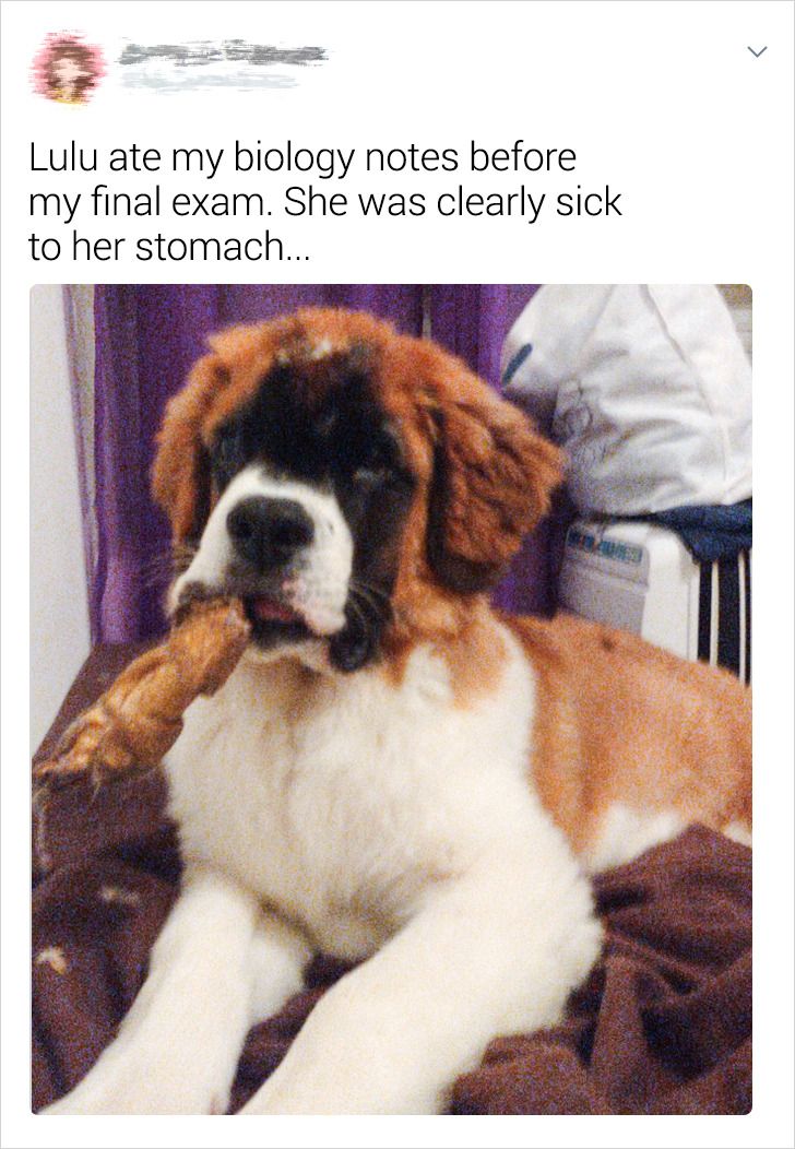 7ed231596984f7101e64ac30e4