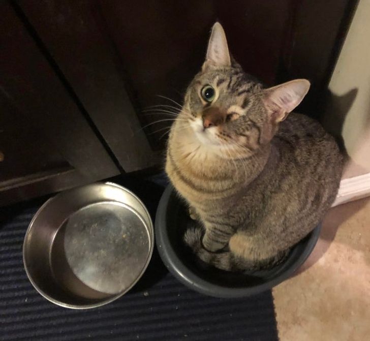 7ed59c5a74a7cf33372cca7406