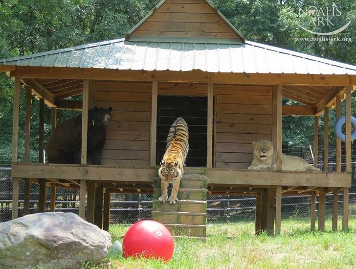 7edc0853db86efde2bc5bb476a