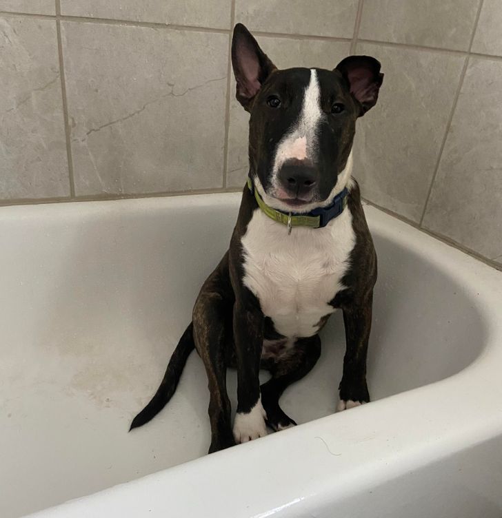 7edd85576ea2713a5edb945639