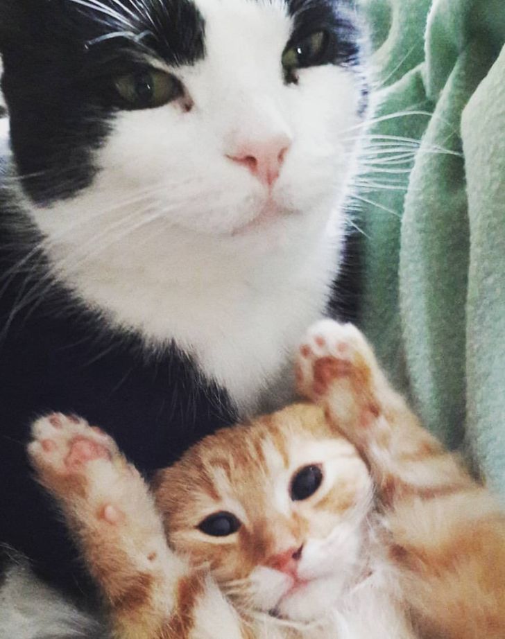 7ee0055e7bb487af85d5c68938