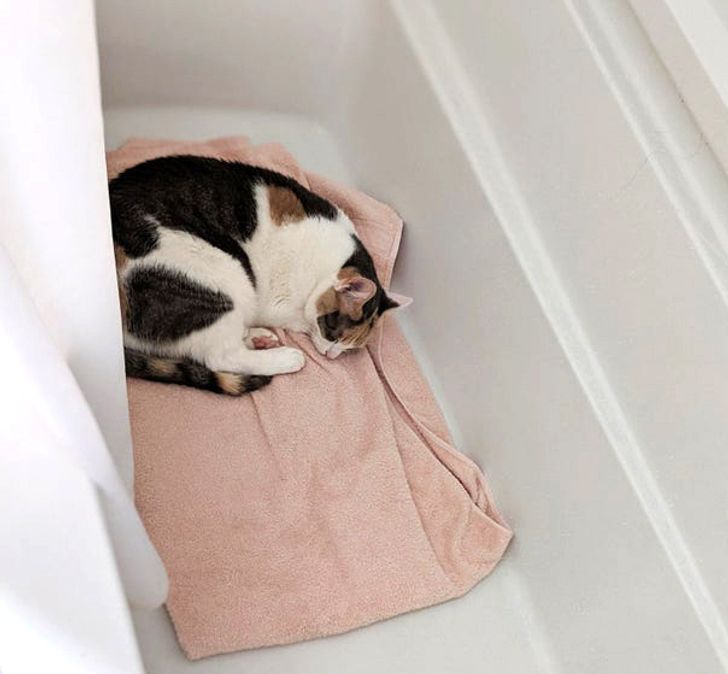 7ee3905fd78e243aaeb91f91f8