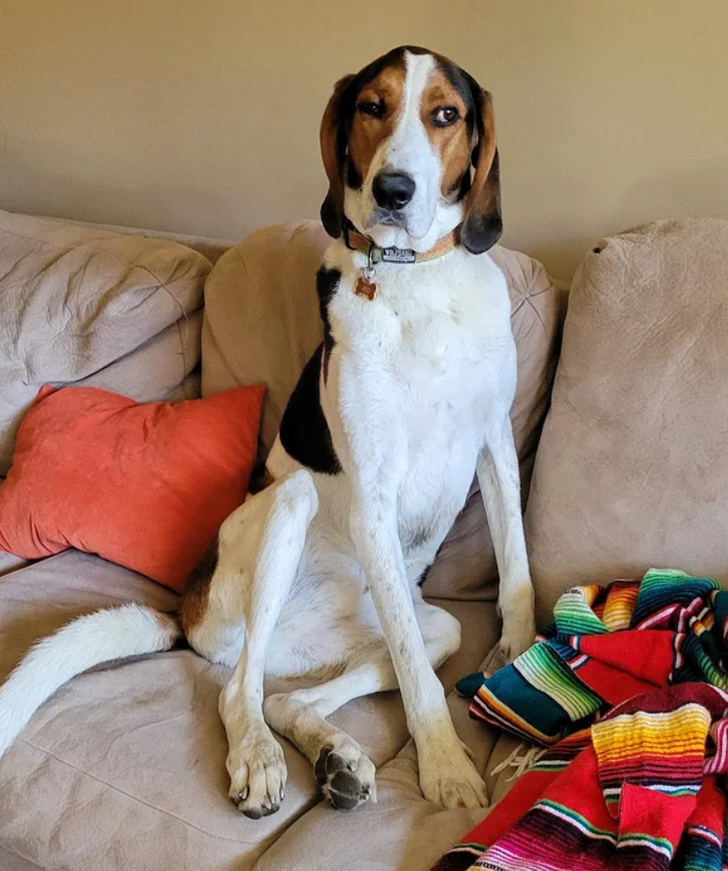 7ee7385fd289523313739439b2