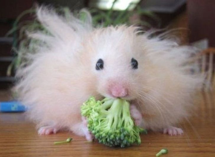 7eec33587bac7f008b506cafe7