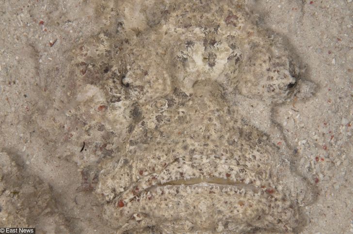 7ef10750f9a4d95eb77b52a4ed