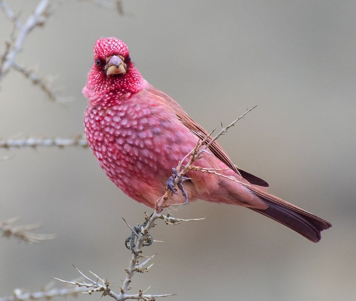 7ef31e5950ab648c8edd2739f2