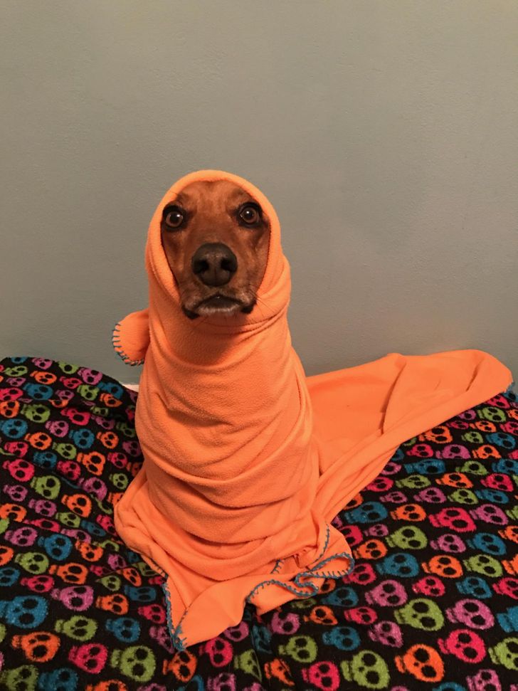 7ef38b56a2accde7f299773eb9