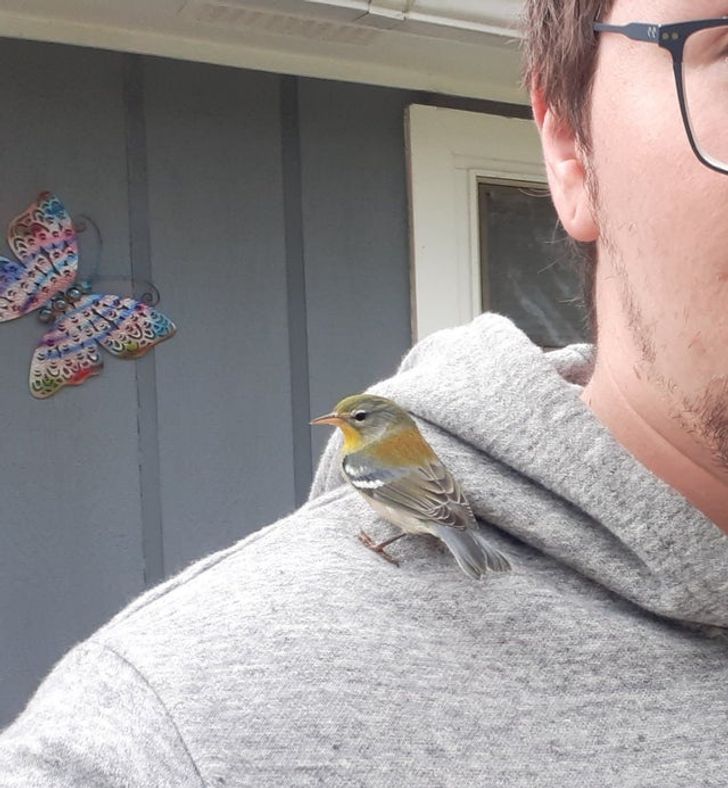 7ef546512387db8b77aec5362a