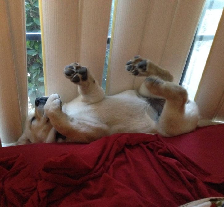 7ef6175d61bc1dc57426a9d6e2