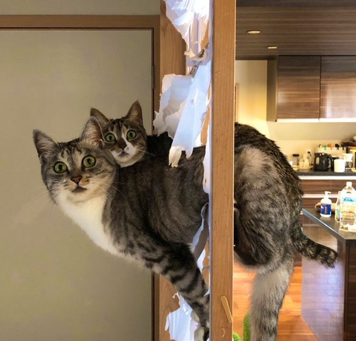 7efba451e79bfdace63047a932