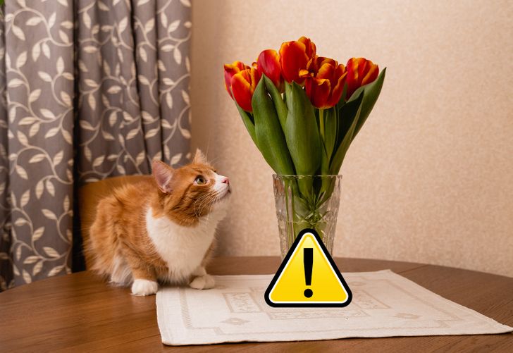 7efcc1513199ccf81b1771b31a