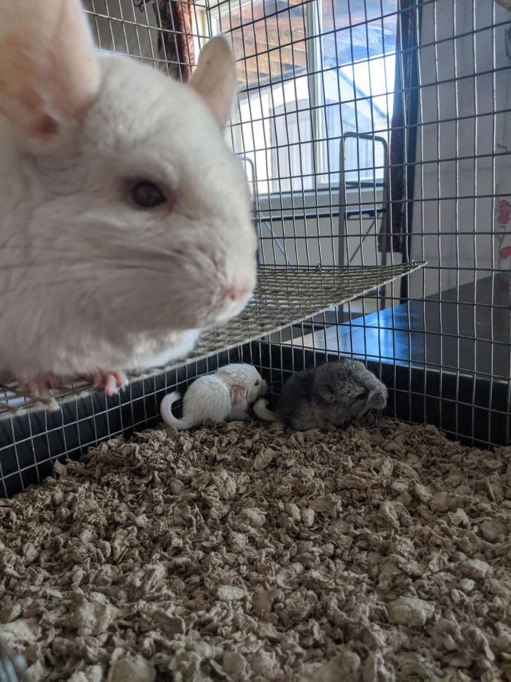 7eff6d5689a9bce76d0f46a560