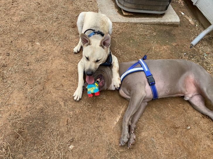 7f005153388023e7ec2ac24528