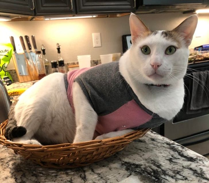 7f02ed547b8bac0485d9924213