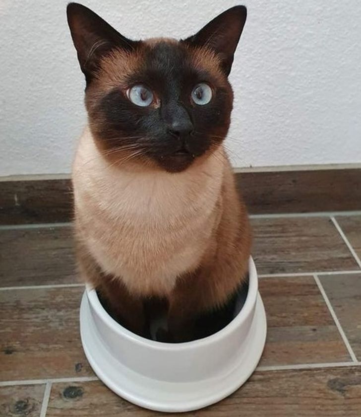 7f081f552792056ca181f7c4de