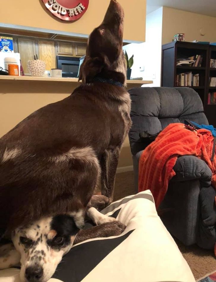 7f08c053d39925caea047dd8cd