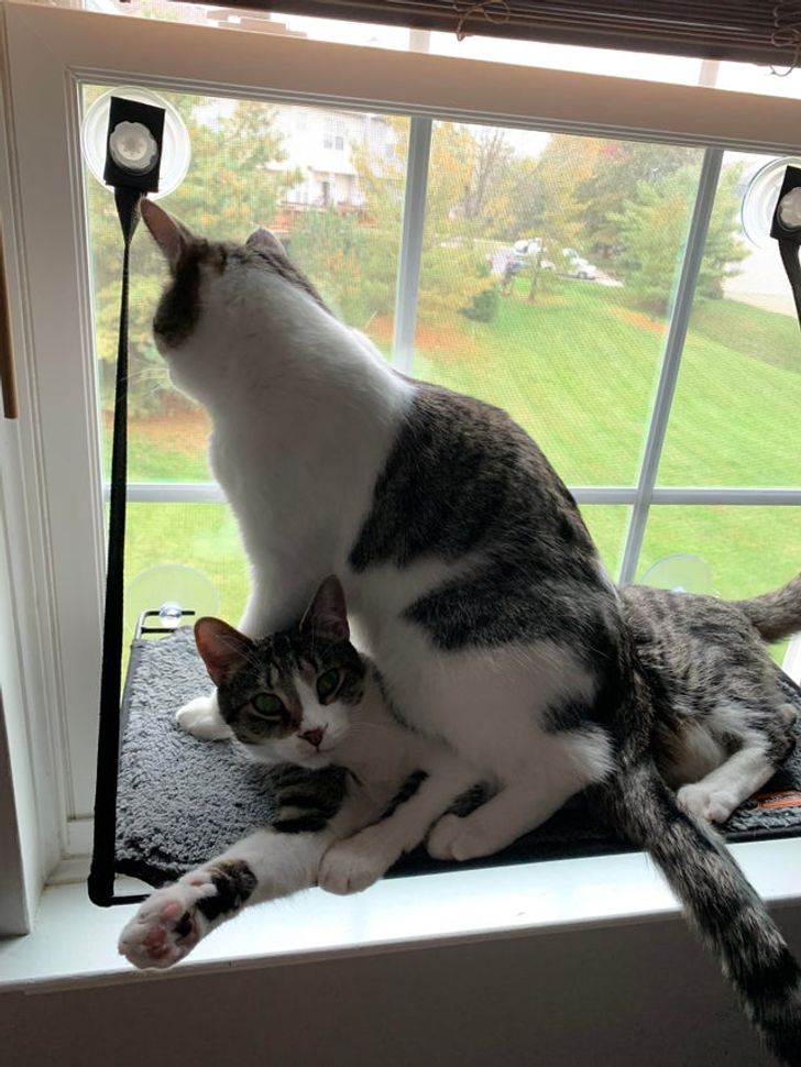 7f08df5cf096fb98ba7f6f5724