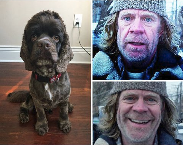 7f10f75b12965e564107a90065