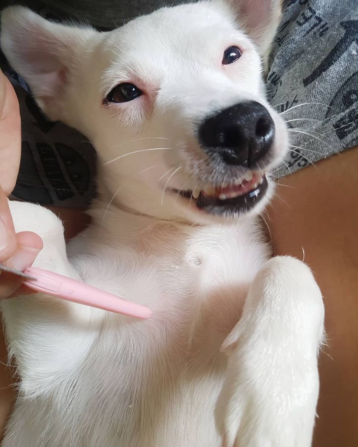 7f174f5eb792dd6f0caef8da27