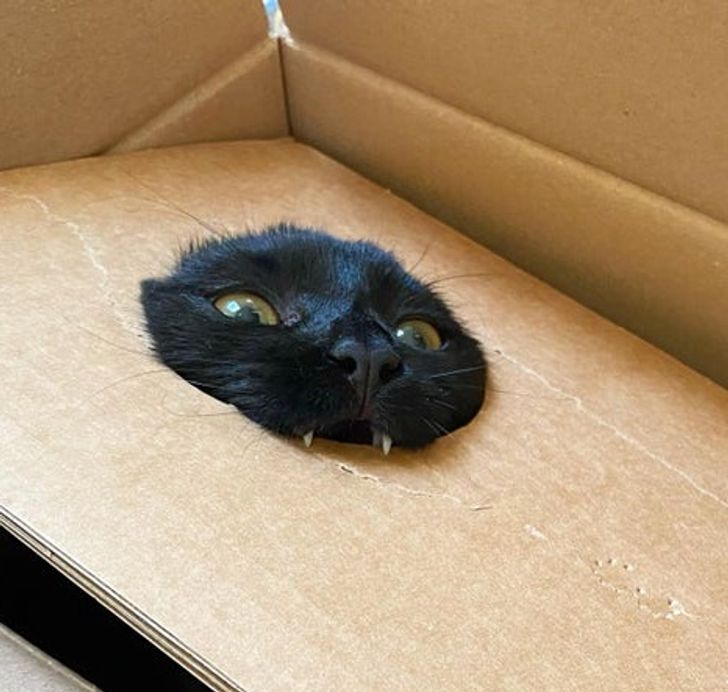 7f17fc57d887b698629e80e82d