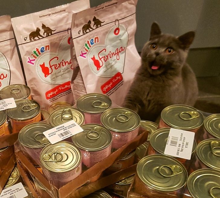 7f1e1152ef8b6fc8edfeb6684c