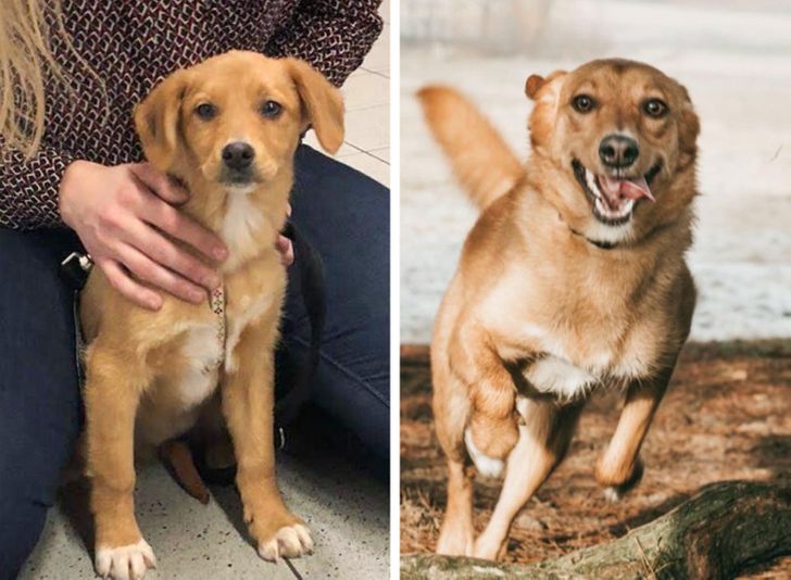 7f25215bf1bcd6e9a793c7f940