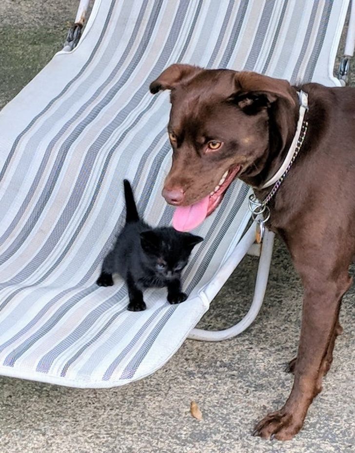 7f2709594cad011049ad9d68bc