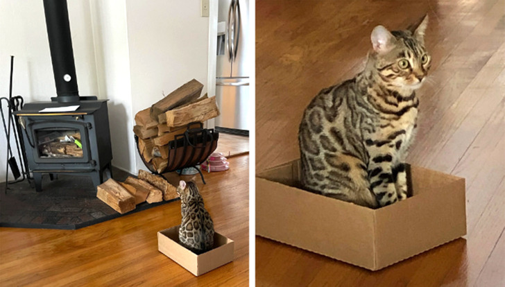 7f30f1564e94b13cd293a82d8b 7f30f1564e94b13cd293a82d8b