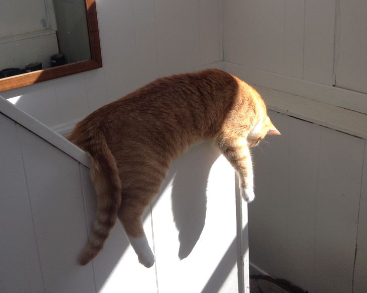 7f35f15341986363c0f245353a