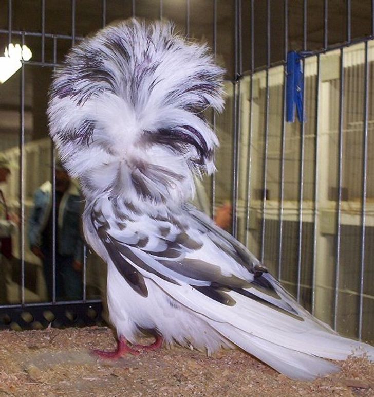 7f3a15556da5d9f5596827d707