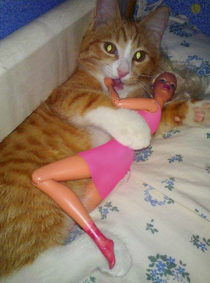 7f3af7536f962d9d4c111b5fc0